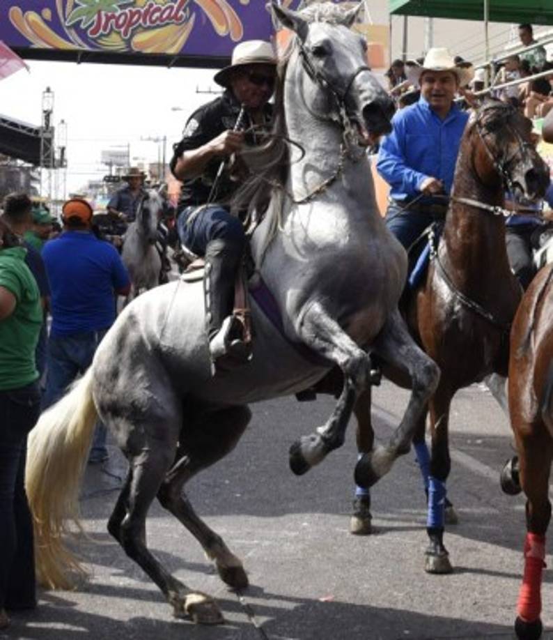 Incluso el Llanero Solitario se coló en el carnaval ceibeño.