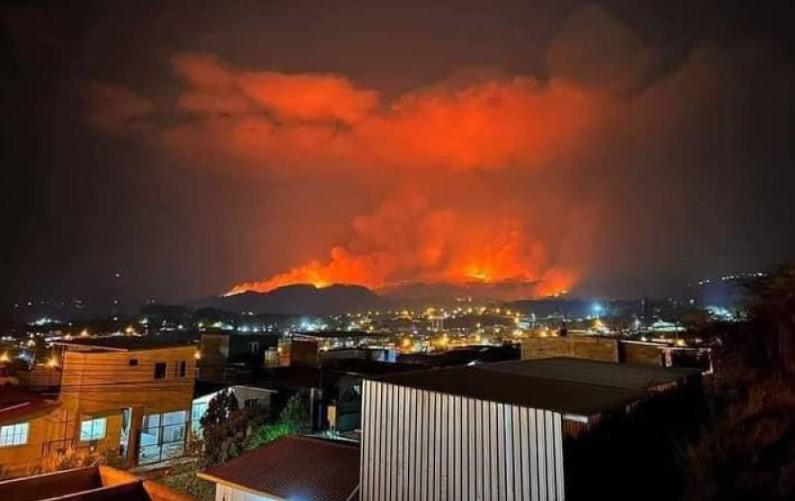 Por eliminar plaga de garrapatas habrían incendiado La Tigra