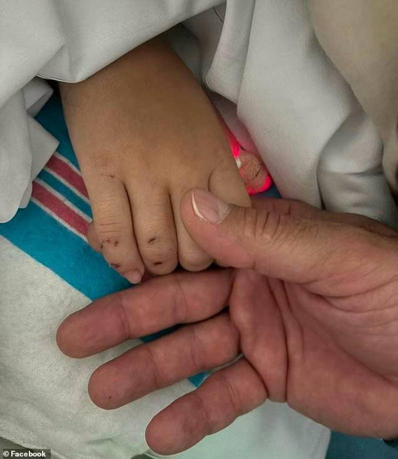 El oficial Mike Vega confirmó que el vehículo aceleró directamente hacia la niña y su madre.