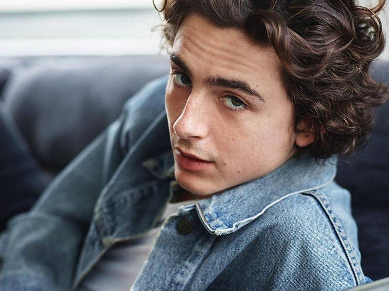 El actor y modelo Timothée Chalamet es nombrado el hombre más guapo a nivel global.
