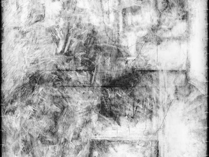 Expertos revelaron una figura femenina en la que se discierne la forma de la cabeza, el cabello recogido en un moño, los hombros curvados y los dedos.