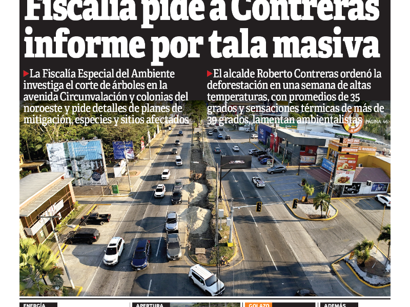 Fiscalía pide a Contreras informe por tala masiva
