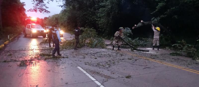 Miembros del Cuerpo de Bomberos trabaja en el despeje de vías luego varios árboles cedieran en los sectores cercanos al Parque Arqueológico de Copán.