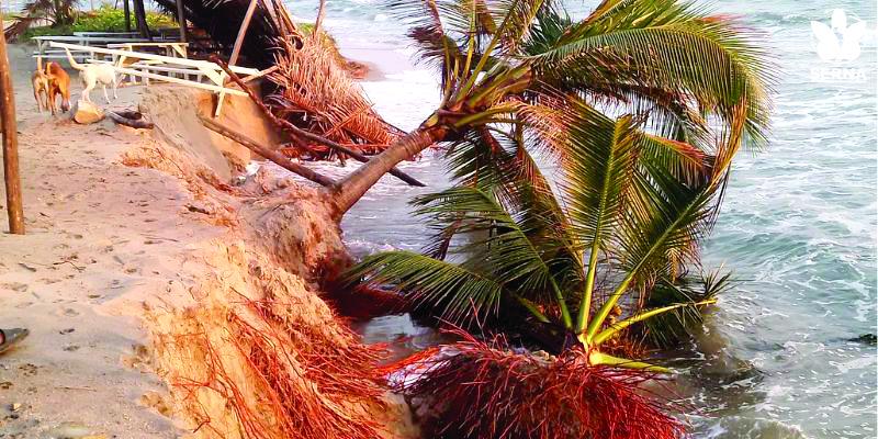 La Serna atendió el clamor de la población y analizarán fenómeno con expertos en oceanografía.