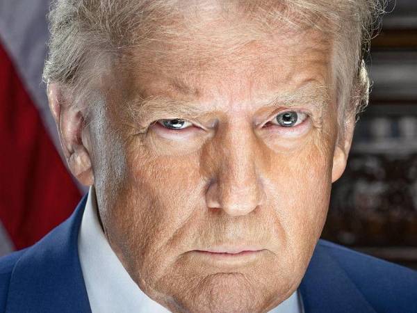 El presidente electo de EEUU posó con el ceño fruncido en su retrato oficial.