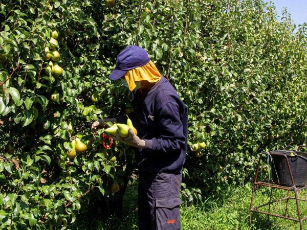 Trabajadores extranjeros en España.