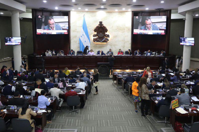 “En el Congreso, primero ideologizan los temas y después lo instrumentan”
