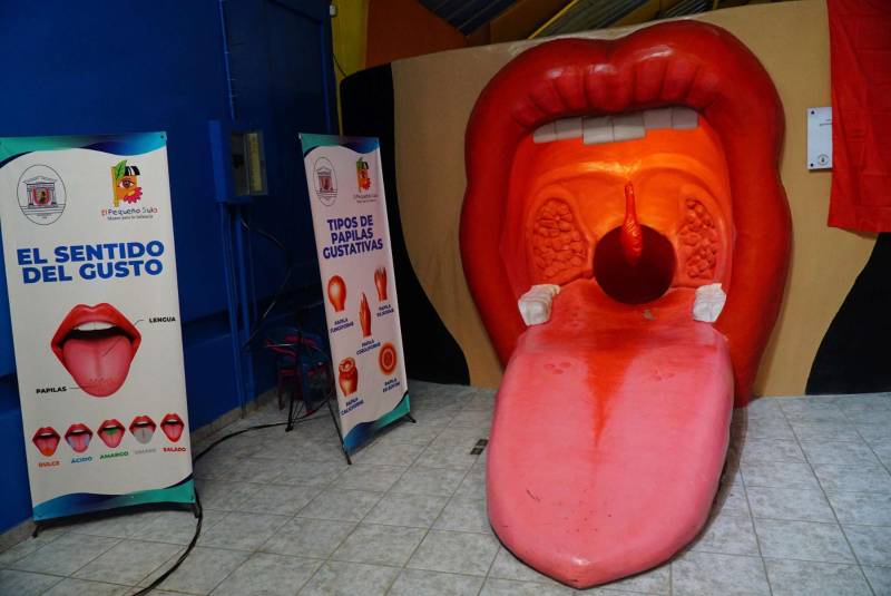 El Museo para la Infancia reactiva sus visitas y presenta nueva exhibición