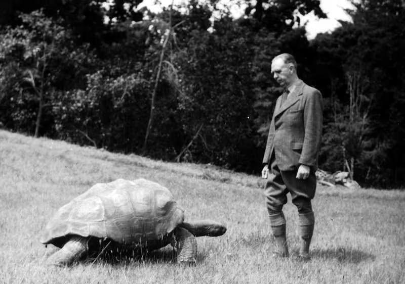 Jonathan, la tortuga que desafía al tiempo con 194 años de edad