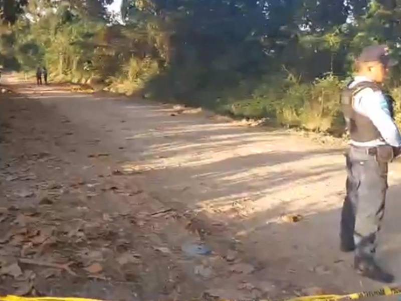 Agentes de la Policía llegaron a resguardar la escena.