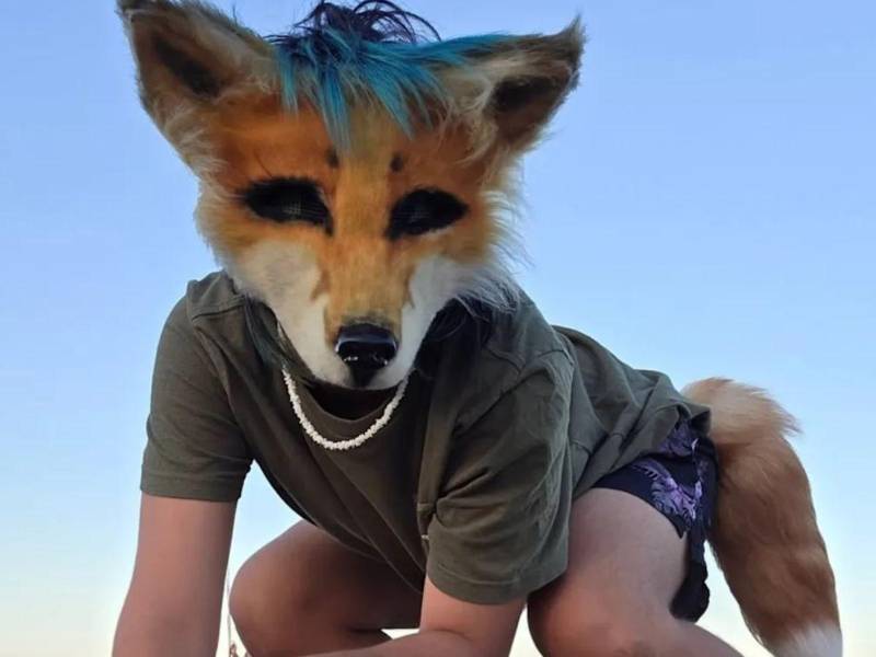 Caminar en cuatro patas, emitir gruñidos o maullidos, usar colas y máscaras, e incluso “marcar territorio” en espacios públicos. Estas son algunas de las conductas que han colocado a los llamados therians en el centro del debate digital y social.