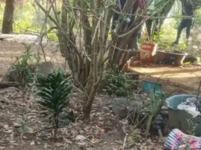 Una nueva masacre registrada este lunes en el sector de El Coco, Tulanguare, en Yoro, Yoro.