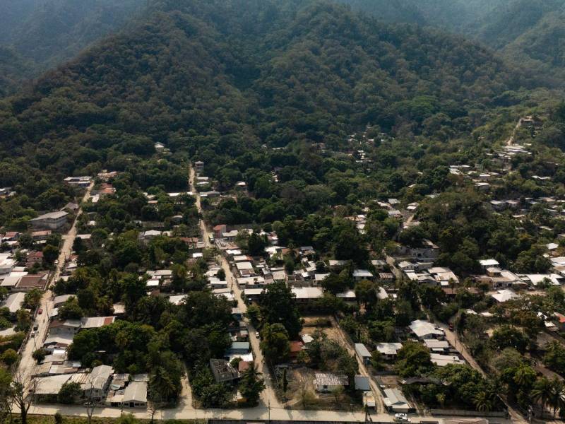 Los pobladores que residen en El Merendón resienten que muchos de los que dicen proteger la montaña ni siquiera la conocen y no han plantado ningún árbol