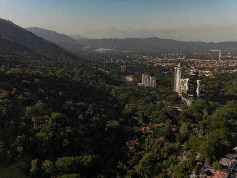 El director ejecutivo del ICF, Armando Ramírez, explicó que la municipalidad siempre seguirá comanejando la montaña; sigue esperando los recursos.