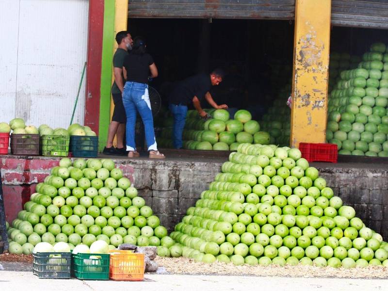 En temporadas de mayor abastecimiento, los almacenes pueden recibir entre 20,000 y 30,000 sandías, según los comerciantes.