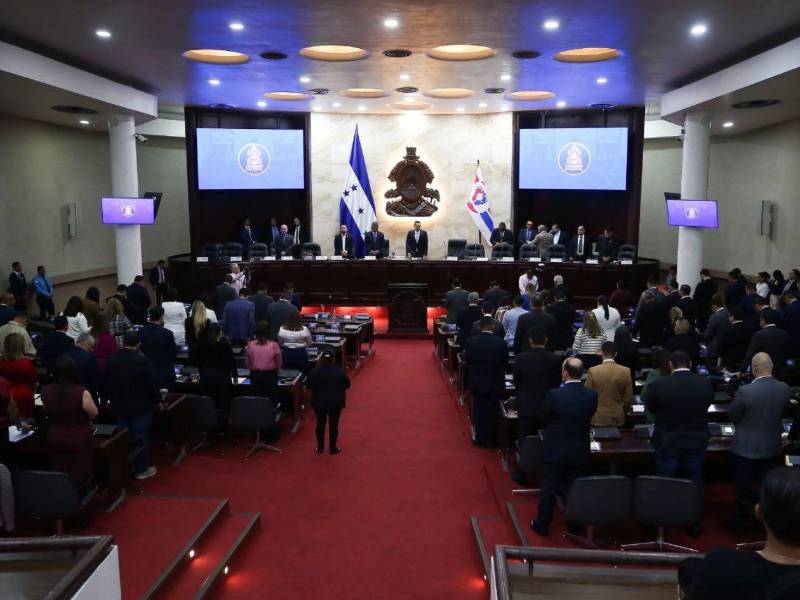 El Congreso Nacional se mantiene a la espera de que el Poder Ejecutivo remita, la próxima semana, el proyecto reformulado del Presupuesto General de la República.