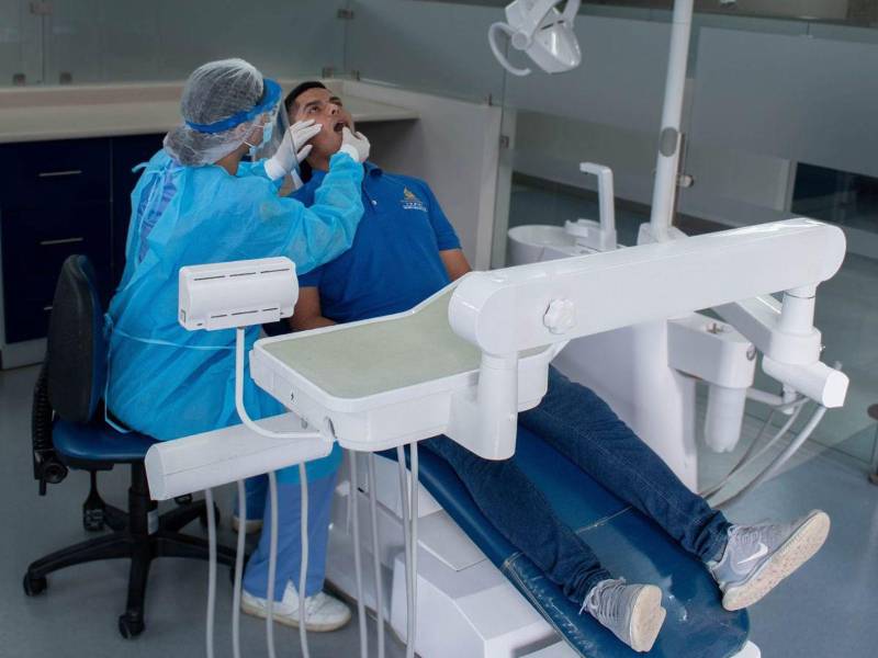 Una estudiante de odontología realiza una demostración en una fotografía de archivo.