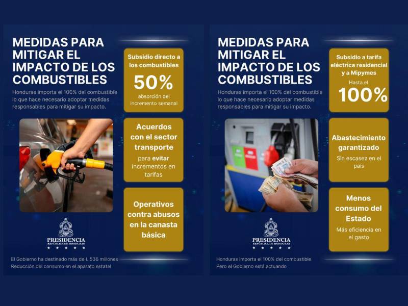 Medidas para mitigar el impacto del alza internacional de los combustibles en la economía nacional.