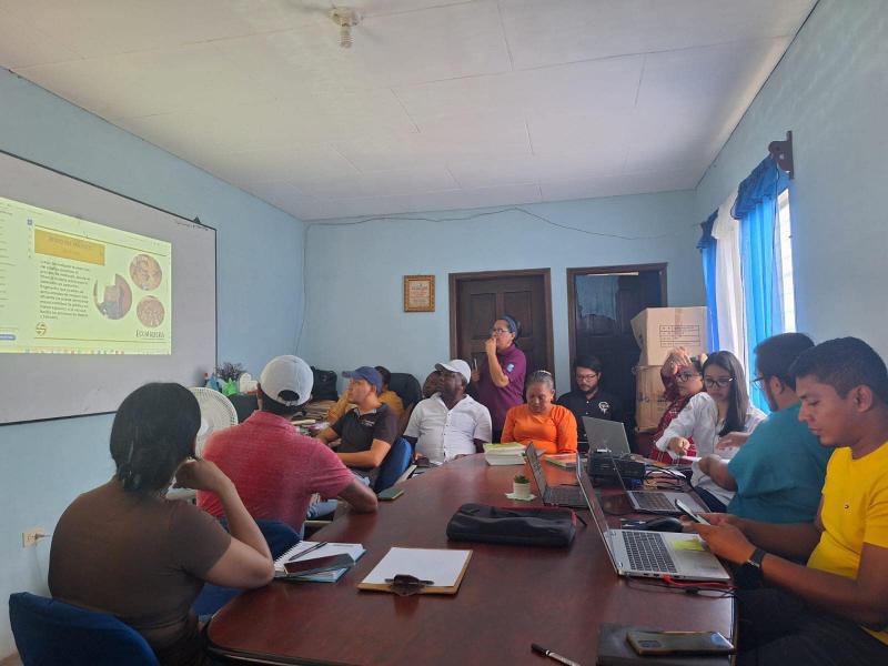 El Comité Interinstitucional Ambiental de Trujillo aplicará multas a los que manipulen las estrellas marinas, amenazadas por esa actividad.