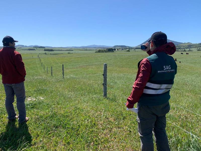 Honduras buscará comprar un barco para agroalimentos