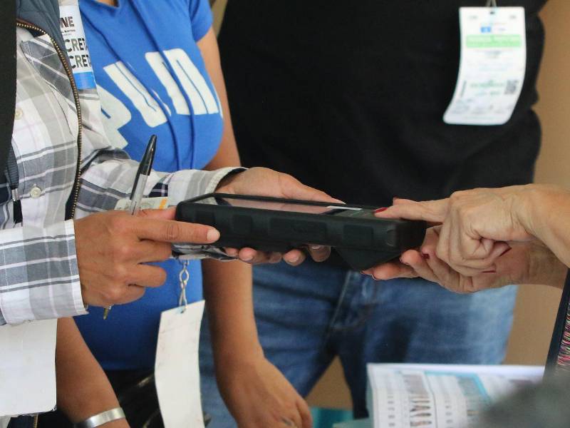 Los sistemas electorales deben ser auditados por una firma externa.