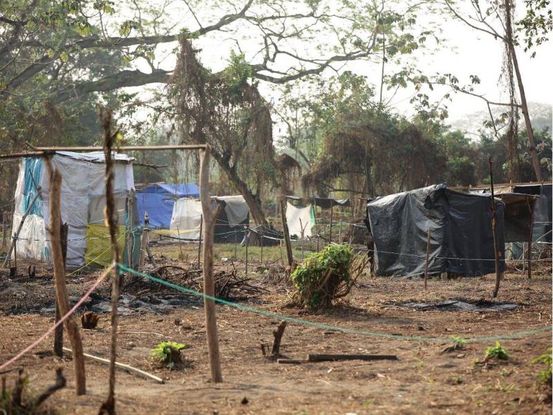 Autoridades señalaron que la aprobación de la ley responde al aumento de las invasiones de tierras registrado en Honduras durante los últimos cuatro años.