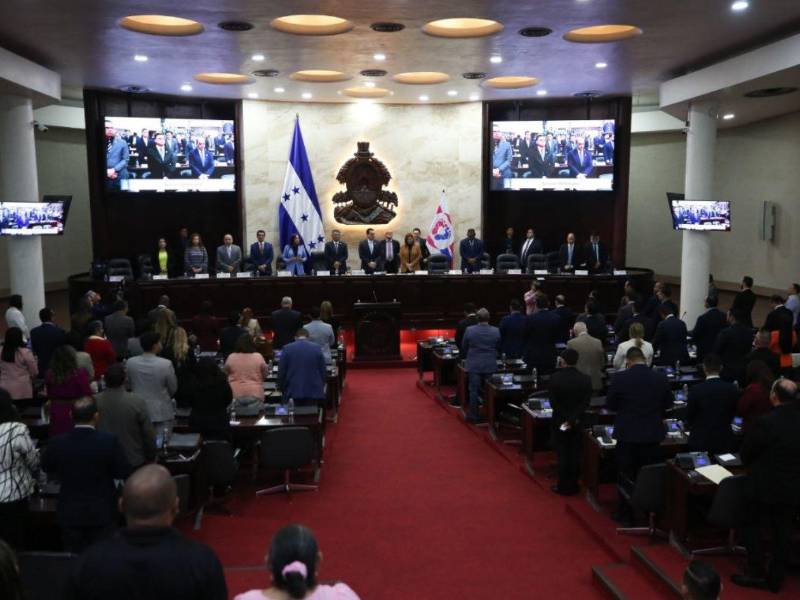 La iniciativa fue presentada por el diputado del Partido Nacional, Kilvett Bertrand.