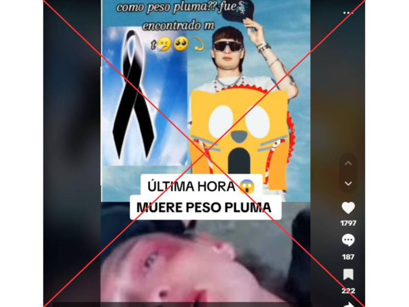 Captura de pantalla a una publicación de TikTok hecha el 29 de noviembre de 2024