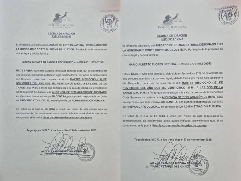 Documentos oficiales de citación.