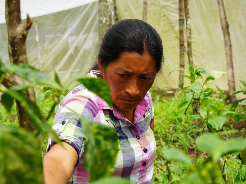 Las mujeres productoras trabajarán en grupos para desarrollar sus emprendimientos.