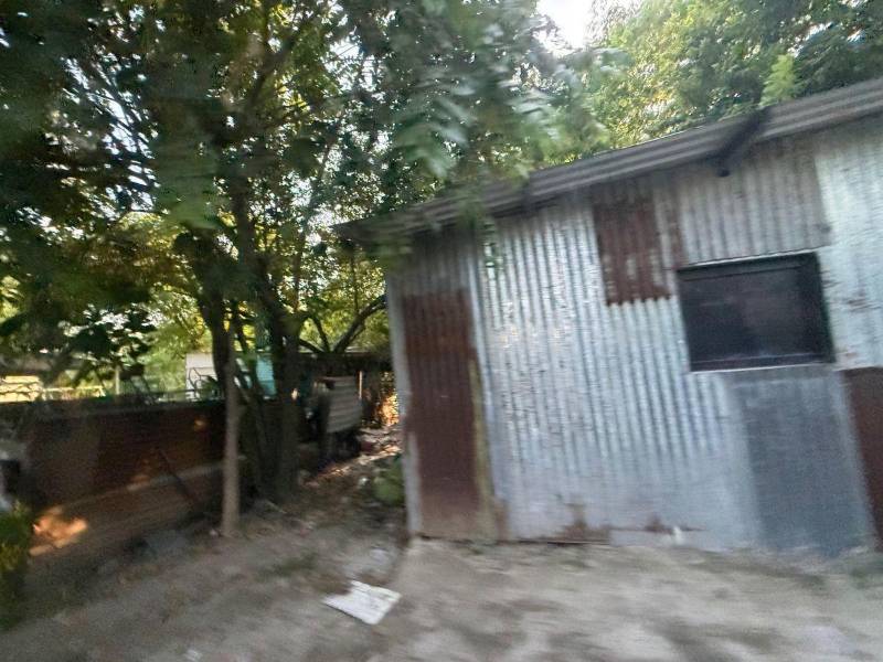 Todo tipo de construcciones se observa en zonas donde no se puede construir; el reglamento indica dónde puede desarrollarse y cuáles son las prohibiciones.