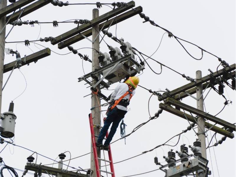 La Empresa Nacional de Energía Eléctrica (Enee), registra pérdidas técnicas y no técnicas, que rondan el 38%, esto representa uno de los principales desafíos para la sostenibilidad del sistema eléctrico. Entre las causas destacan el deterioro de la infraestructura, la falta de inversión en la modernización de la red y los altos niveles de conexiones irregulares en distintos sectores del país.