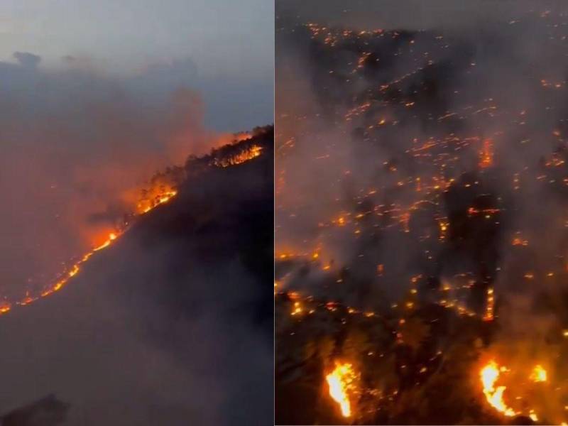 Vista aérea del incendio en el Parque Nacional La Tigra.