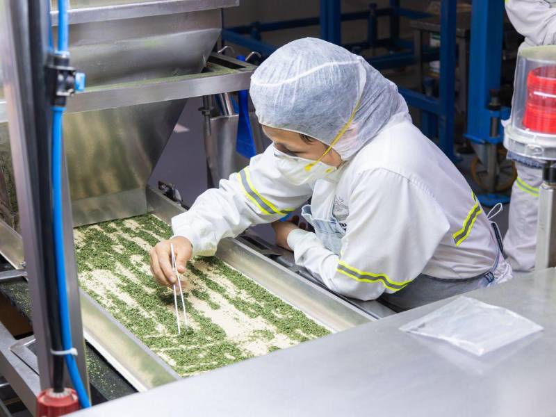 Nestlé impulsa la nutrición y sostenibilidad regional desde su corazón culinario en Guatemala