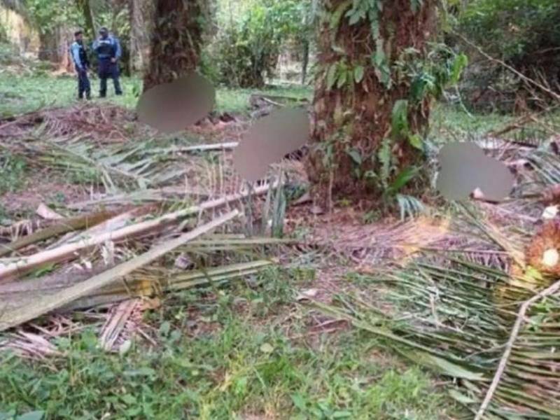 Los cuerpos quedaron dispersos en distintos puntos de la Finca Paso Aguán.