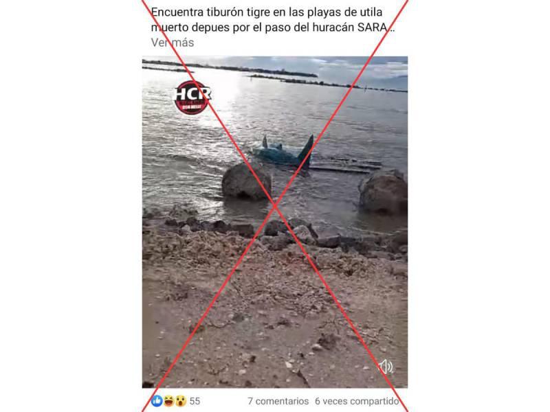 Captura de pantalla a una publicación en Facebook.