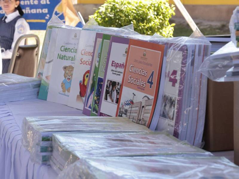 Estos son los libros entregados a los estudiantes. Son a color, de casi 300 páginas, y fueron impresos en Honduras.