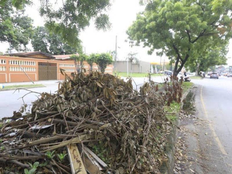 Las cuadrillas municipales podan los árboles, pero no recogen los desechos ni los embolsan obstaculizando el paso de los peatones.