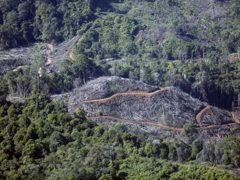 América Latina busca impulsar su producción agrícola y, al mismo tiempo, frenar la deforestación que avanza de forma desigual en la región.