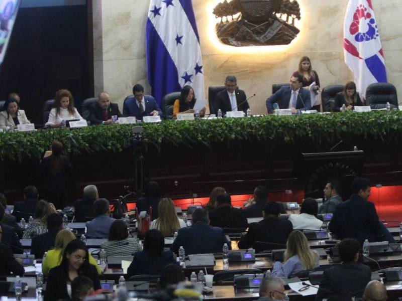 El avance del proceso dependerá de los acuerdos políticos que alcancen las distintas fuerzas representadas en el Congreso Nacional.