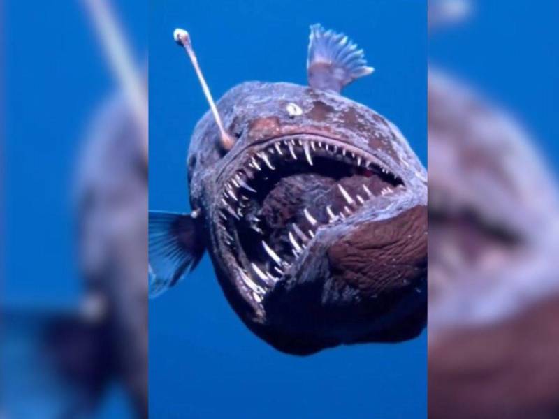 Este se convierte en un hecho histórico, según los expertos.