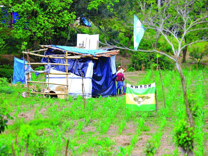 Invasión a tierras productivas del Fondo Ganadero de Atlántida en Puerto Arturo, Tela.