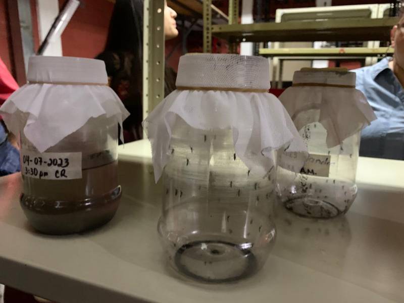 Se usará como herramienta de control de vectores.