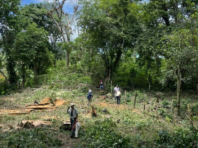 La fiscalía constató la comisión de delitos ambientales en la zona rural de Santa Rosa de Copán