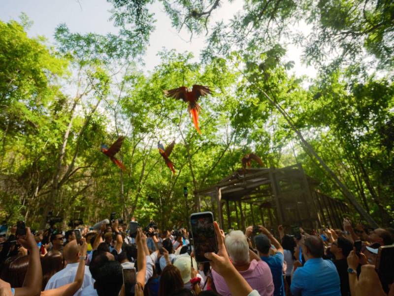 BAC impulsa el orgullo hondureño como motor del turismo y la cultura nacional
