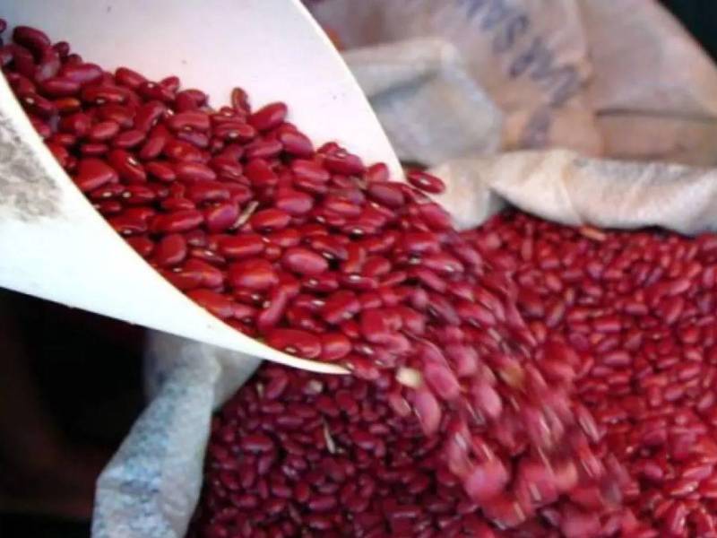 La pérdida supera los L85 millones y deja en riesgo la reserva alimentaria de Honduras.