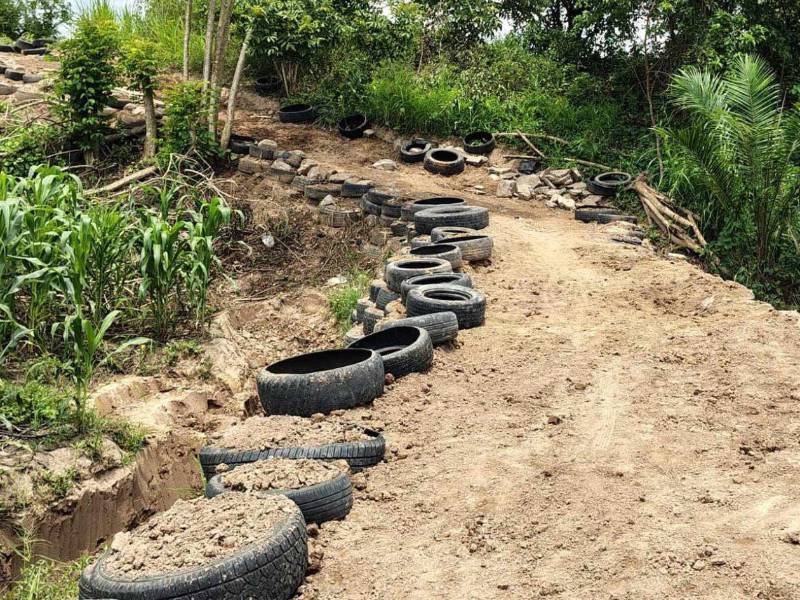 Residentes de las comunidades aledañas a los canales de alivio de La Lima denunciaron ante Diario LA PRENSA que algunos productores de palma aceitera han alterado la estructura de los bordos para sacar la producción de las fincas.