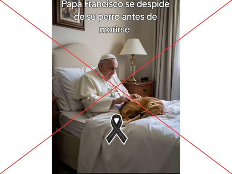 Captura de pantalla a una publicacion de TikTok hecha el 13 de mayo de 2025.