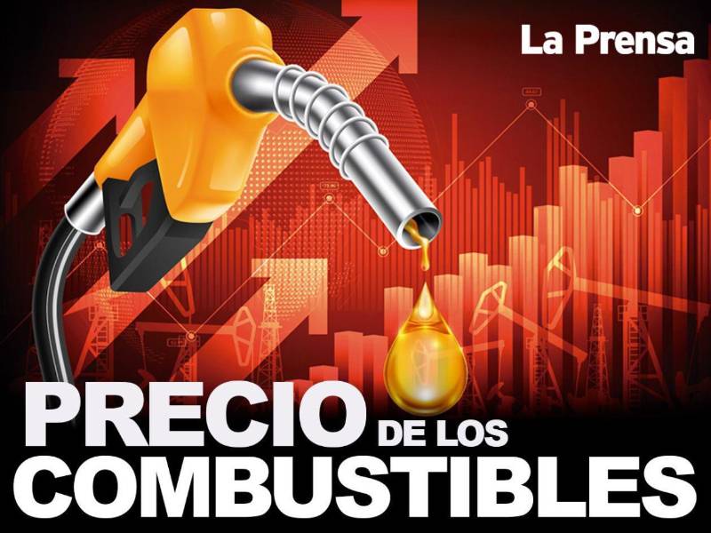 El comportamiento al alza en los precios responde a factores externos, particularmente al incremento en el valor del barril de petróleo en el mercado internacional.