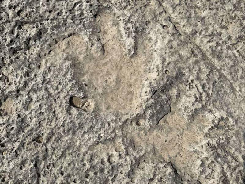 Las huellas quedaron expuestas tras las inundaciones en el centro de Texas.